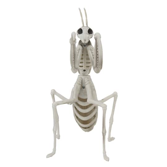 9.4" Mantis Skeleton by Ashland®